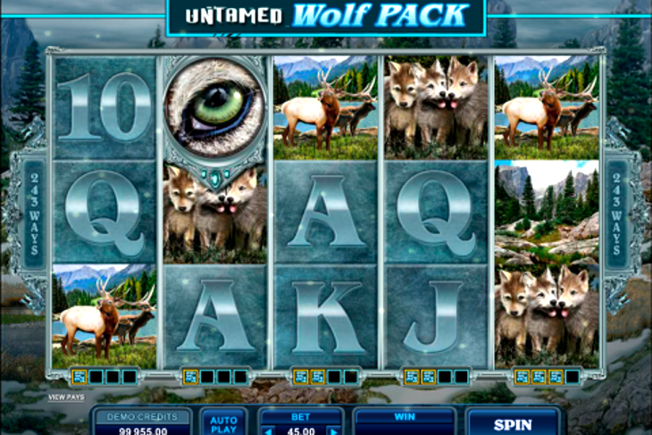 Oink Country Love Slot Machine