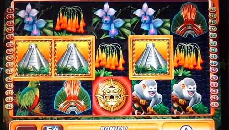 Slot Jungle Free Spin